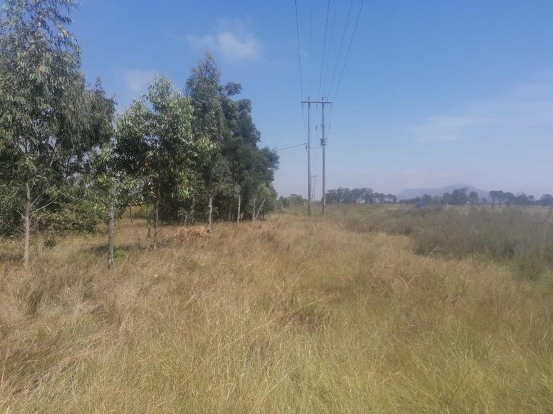 0 Bedroom Property for Sale in Gedults River Eastern Cape